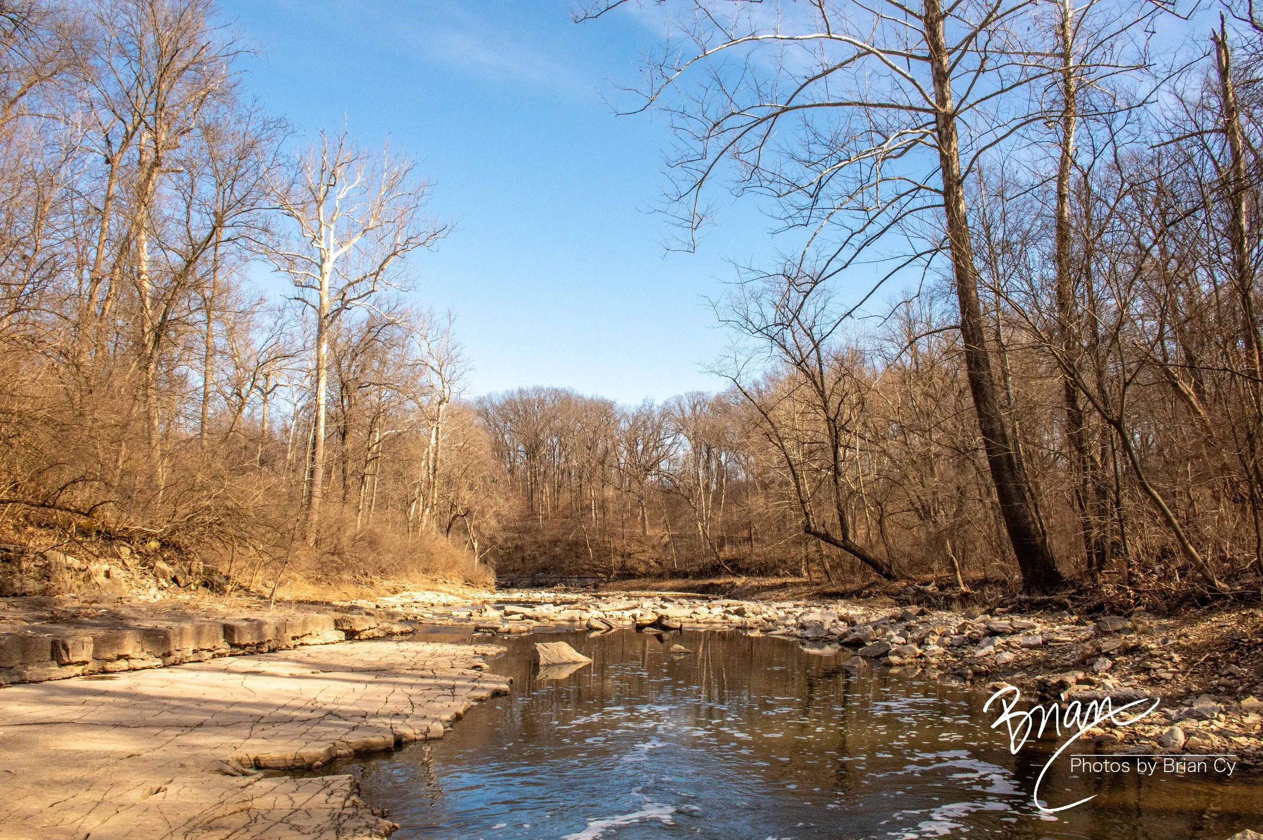 LoRes_WM_20250308_StLouis_Edit-0401.jpg
