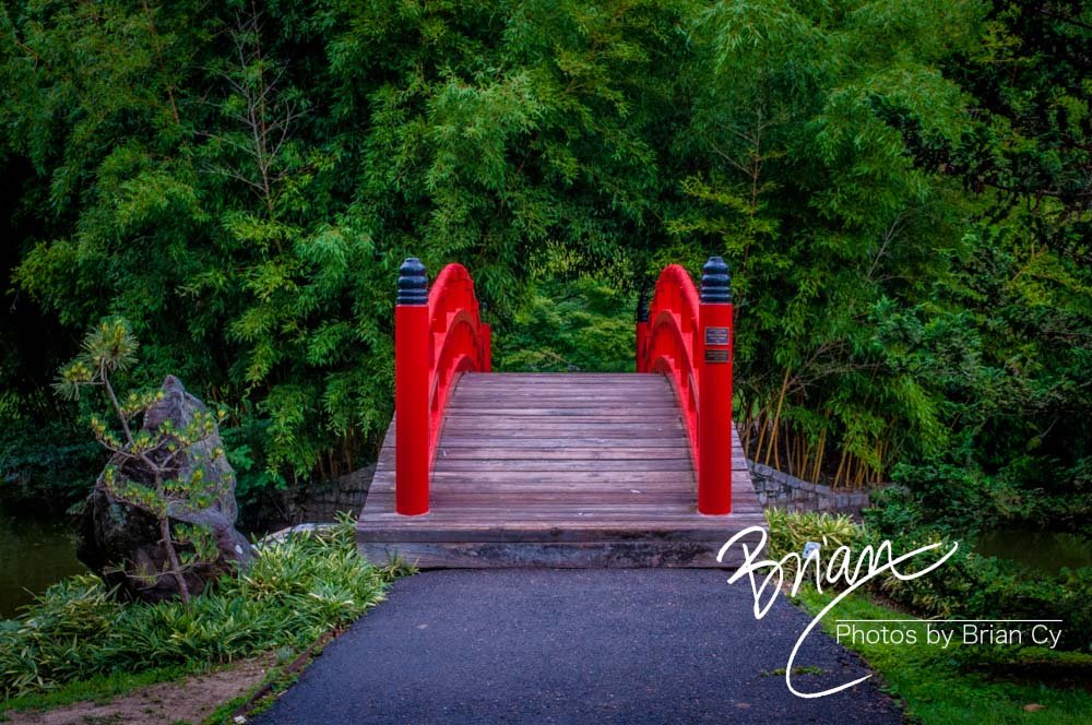LoRes_WM_20180620_Memphis_Botanical_Gardens_Edit-0044.jpg
