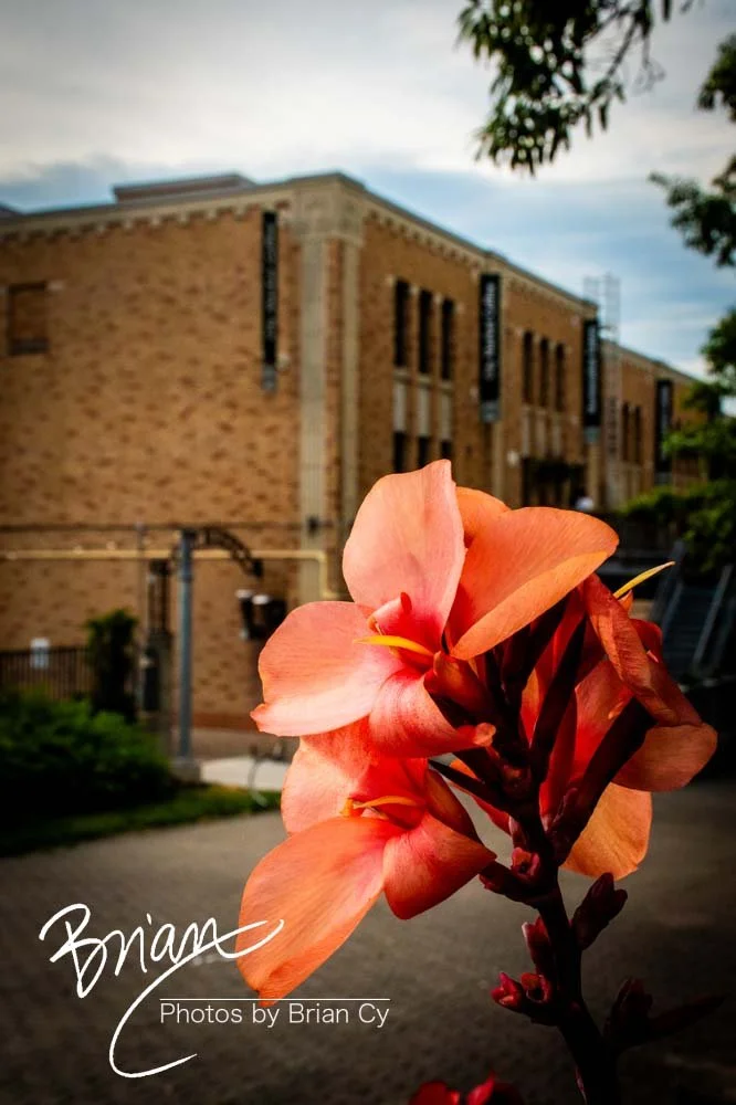LoRes_WM_20240616_KansasCityMO_Edit-5212.jpg