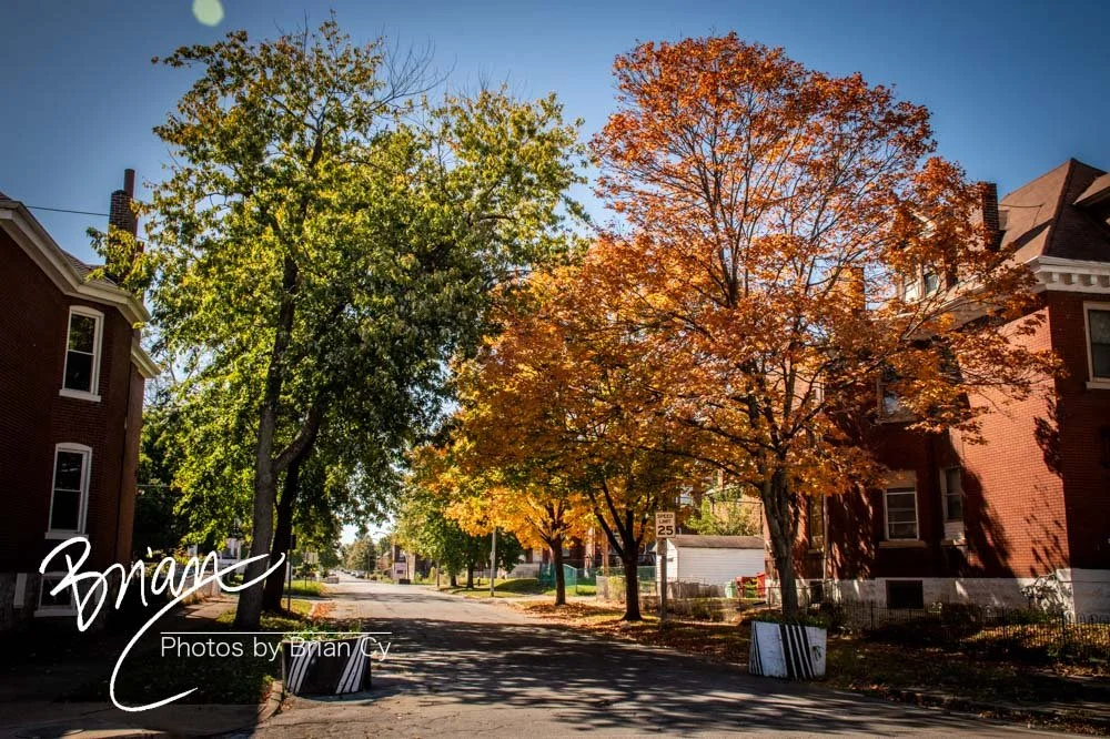 LoRes_WM_20241019_StLouis_Edit-2968.jpg