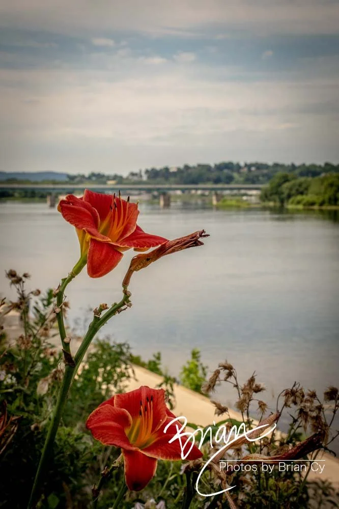 LoRes_WM_20220731_Harrisburg_Edit-4785.jpg