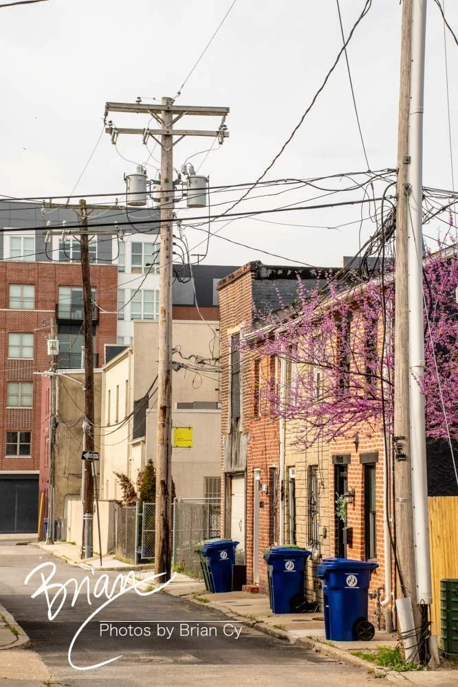 LoRes_WM_20220416_Baltimore_Edit-4014.jpg