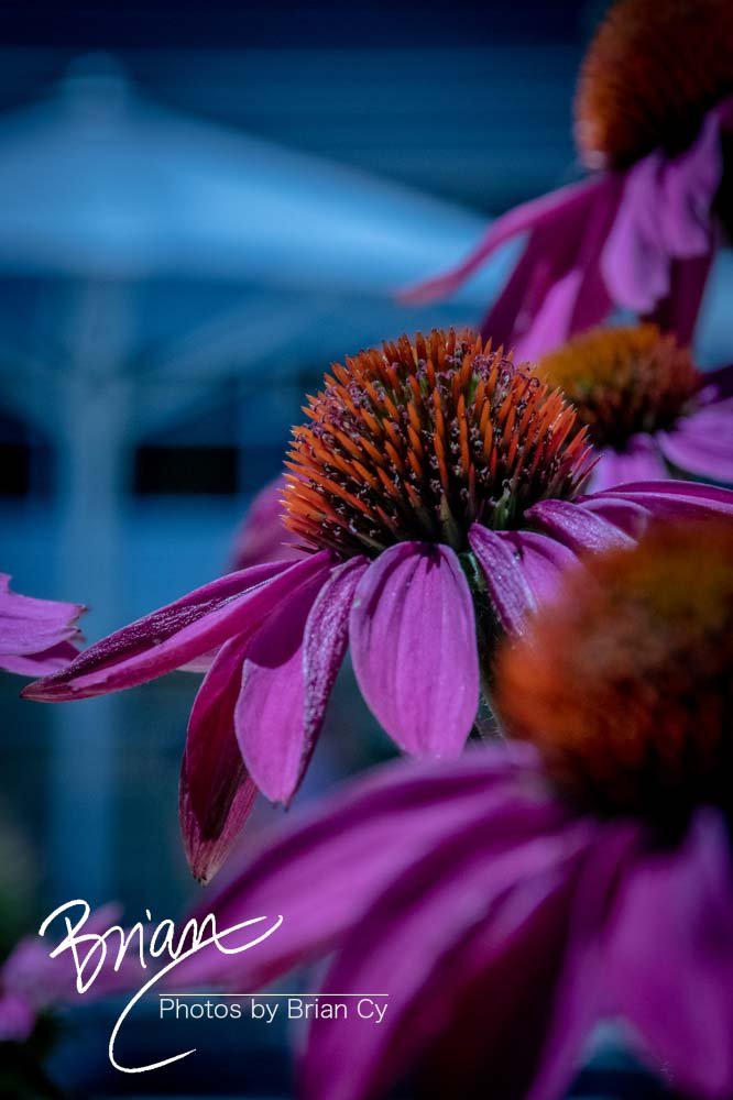 LoRes_WM_20190611_WinstonSalem_Edit-1441.jpg