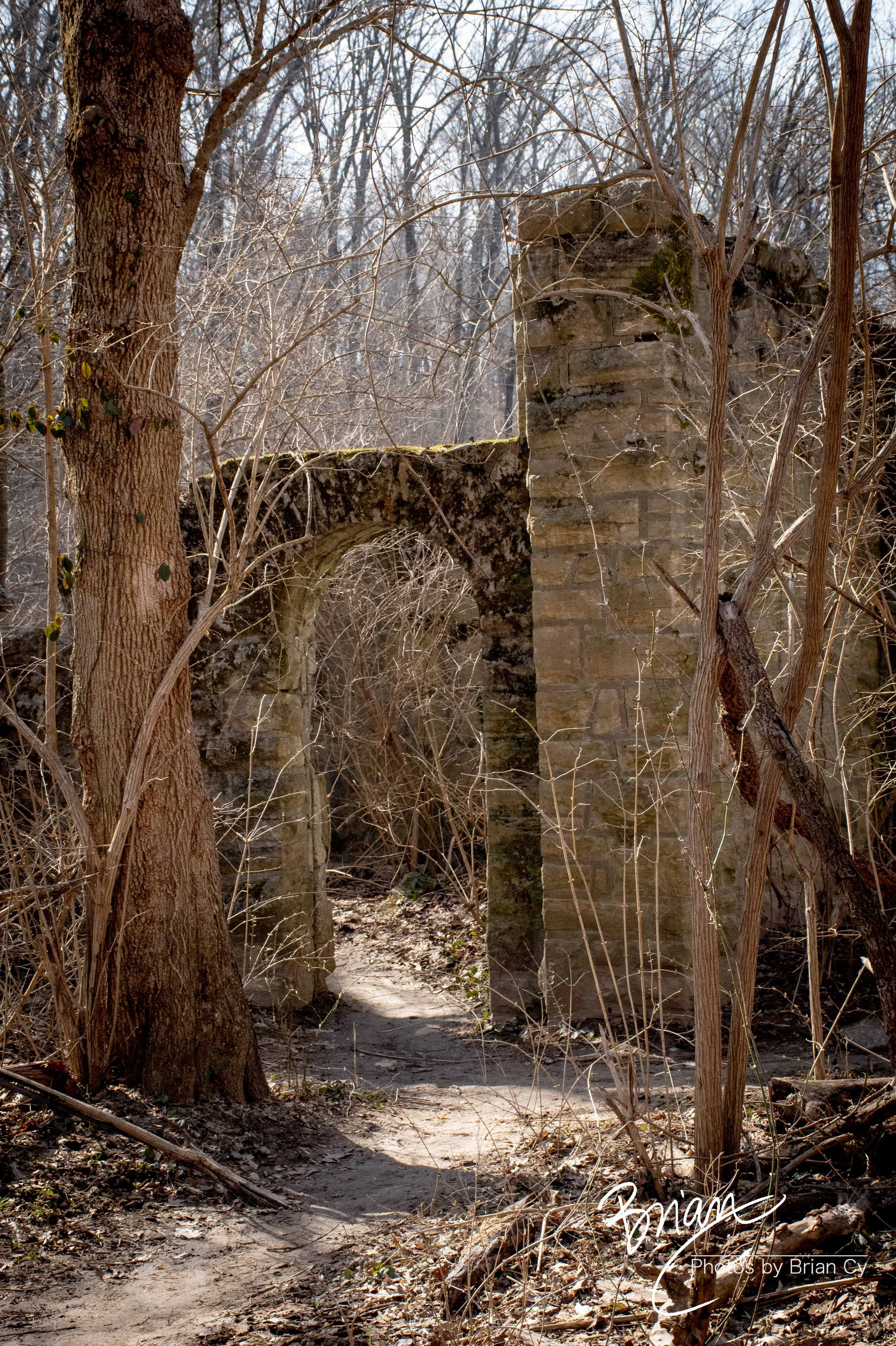LoRes_WM_20250308_StLouis_Edit-0460.jpg