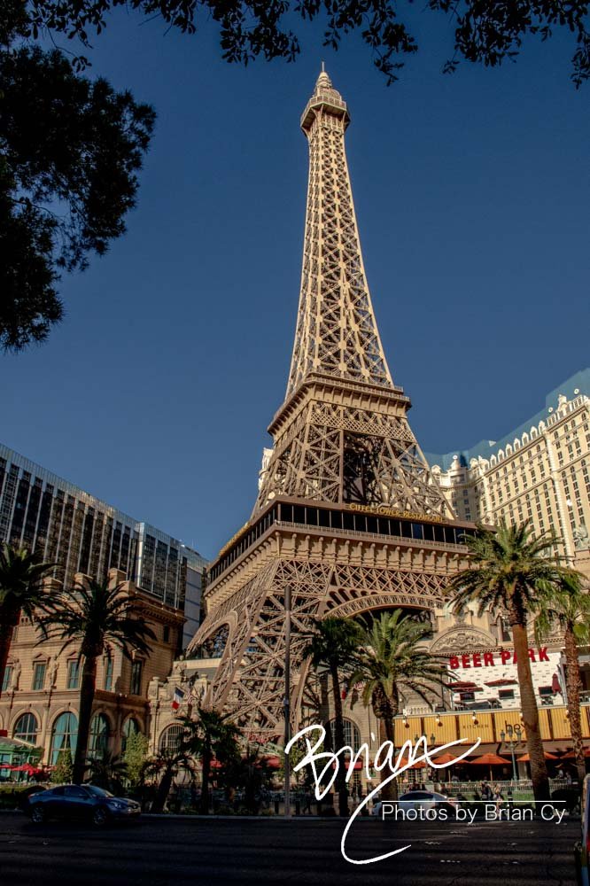 LoRes_WM_20190424_LasVegas_Edit-8851.jpg