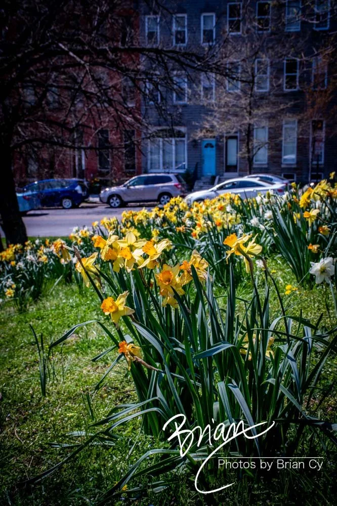 LoRes_WM_20210408_Baltimore_Edit-5687.jpg