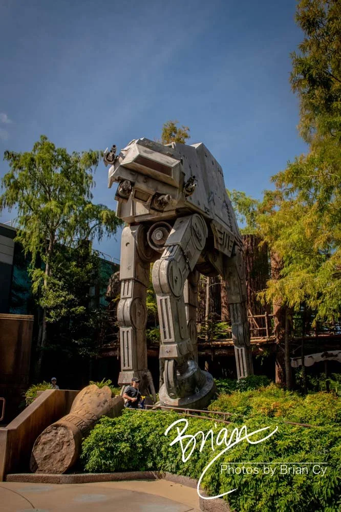LoRes_WM_20230702_TheFam_Disney_Edit-5190.jpg