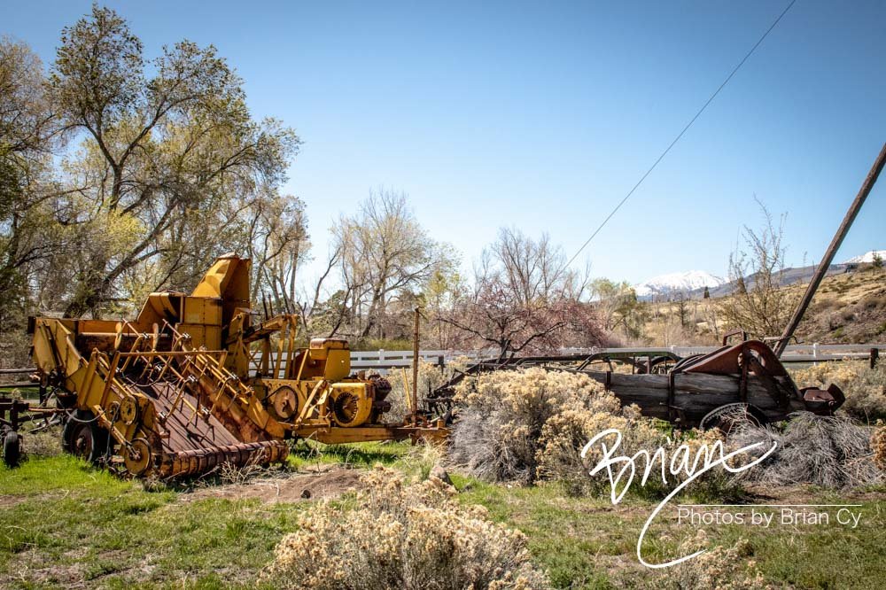 LoRes_WM_20200415_Reno_Edit-1432.jpg