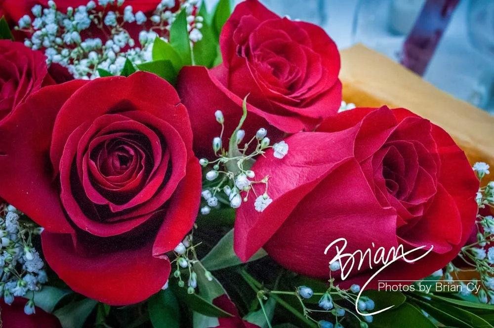 LoRes_WM_20120901_Rutkowski_Wedding_Edit-1977.jpg