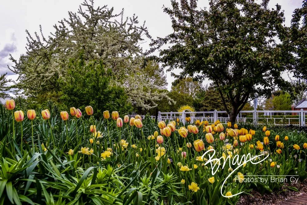 LoRes_WM_20180504_Missouri_Botanical_Edit-0081.jpg