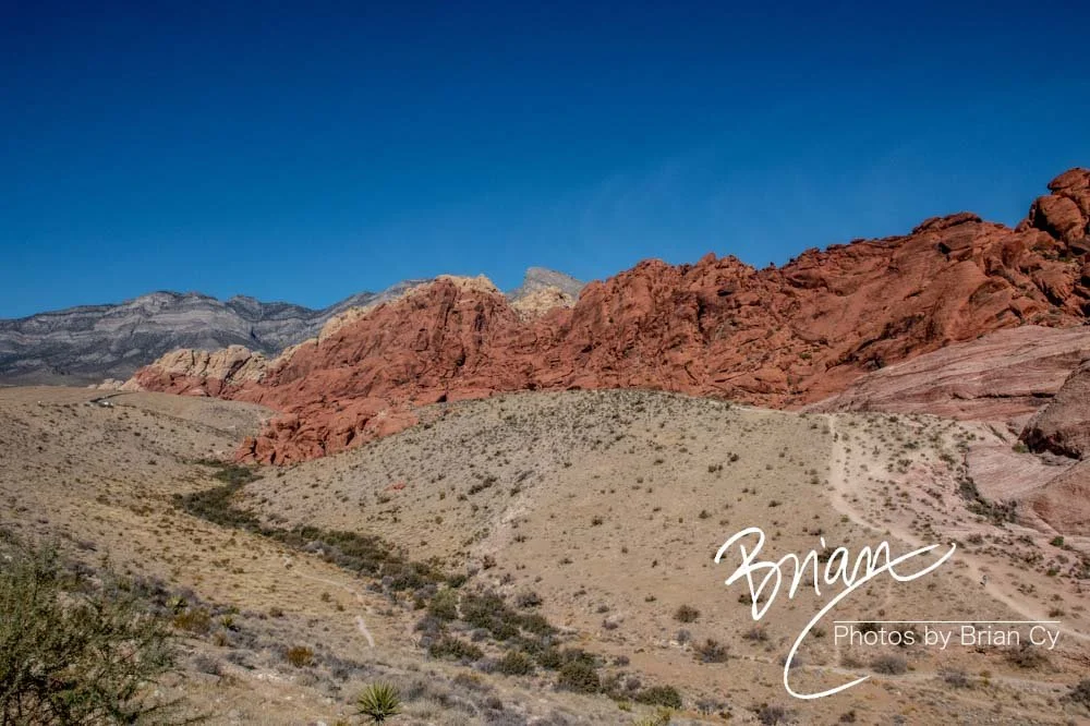LoRes_WM_20191113_RedRockCanyon_Edit-8524.jpg