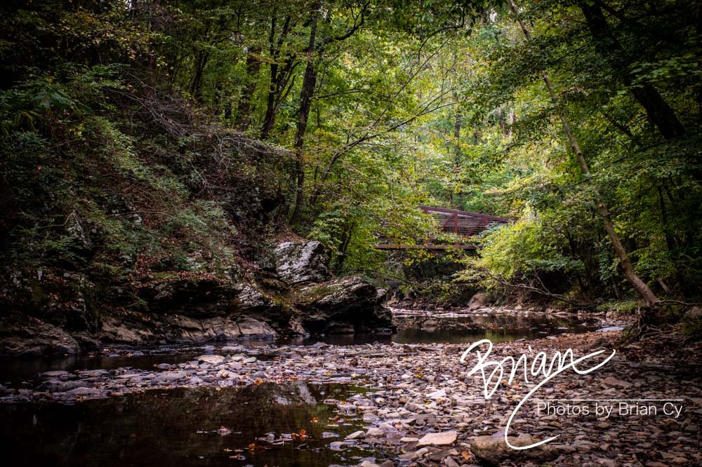 LoRes_WM_20191005_Rottenwood_Edit-2307.jpg