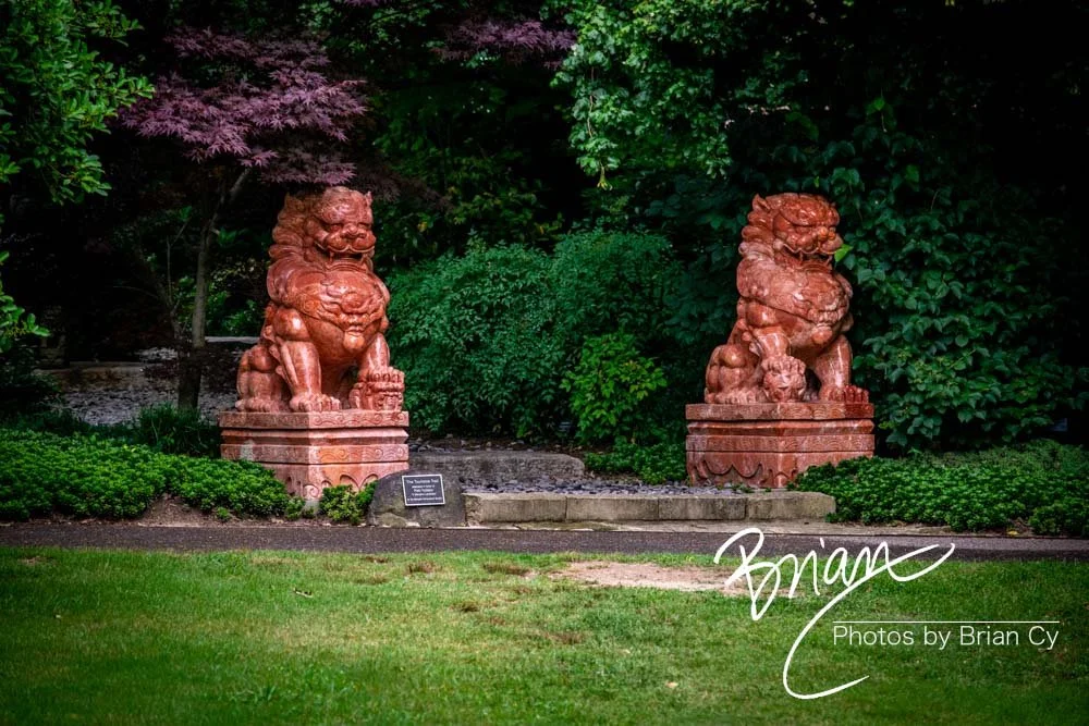 LoRes_WM_20180620_Memphis_Botanical_GardensA_Edit-0268.jpg