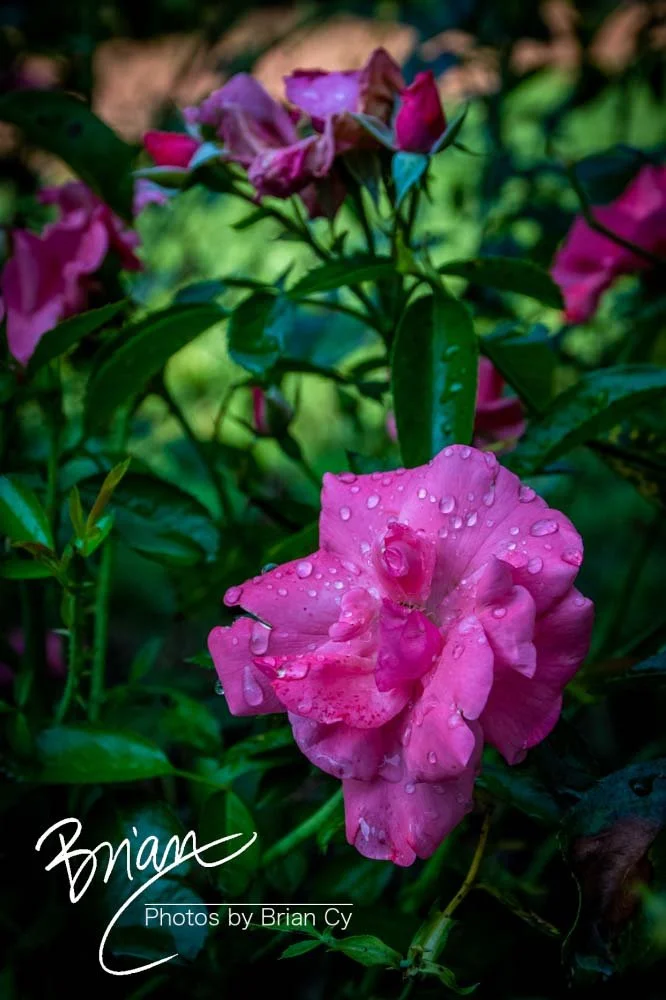 LoRes_WM_20210716_Annapolis_Edit-2949.jpg