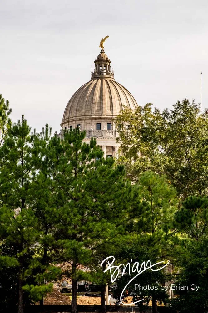 LoRes_WM_20191104_Jackson_Edit-5527.jpg