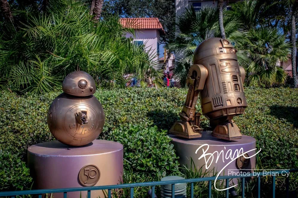 LoRes_WM_20230702_TheFam_Disney_Edit-5145.jpg