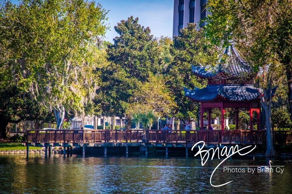 LoRes_WM_20190217_Orlando_Edit-4765.jpg