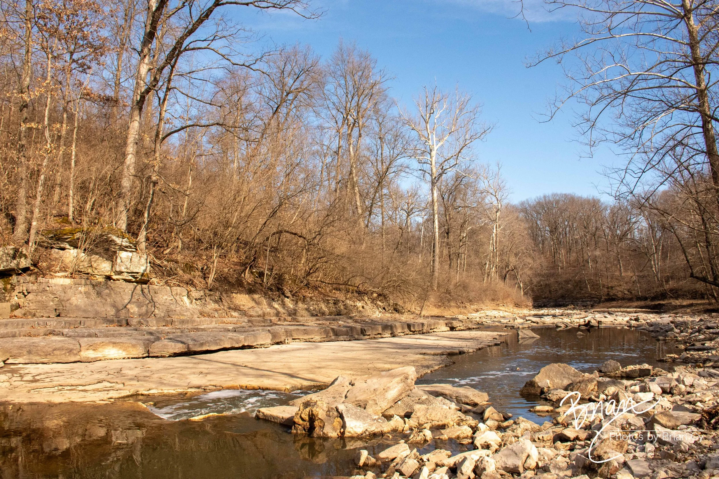 LoRes_WM_20250308_StLouis_Edit-0420.jpg