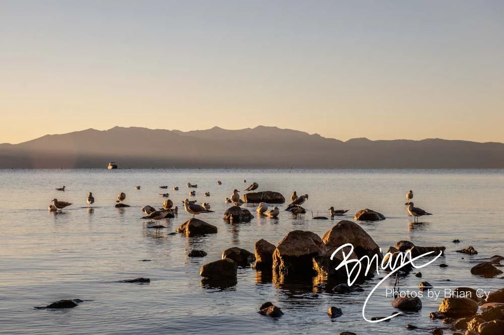 LoRes_WM_20201014_Tahoe_Edit-9764.jpg