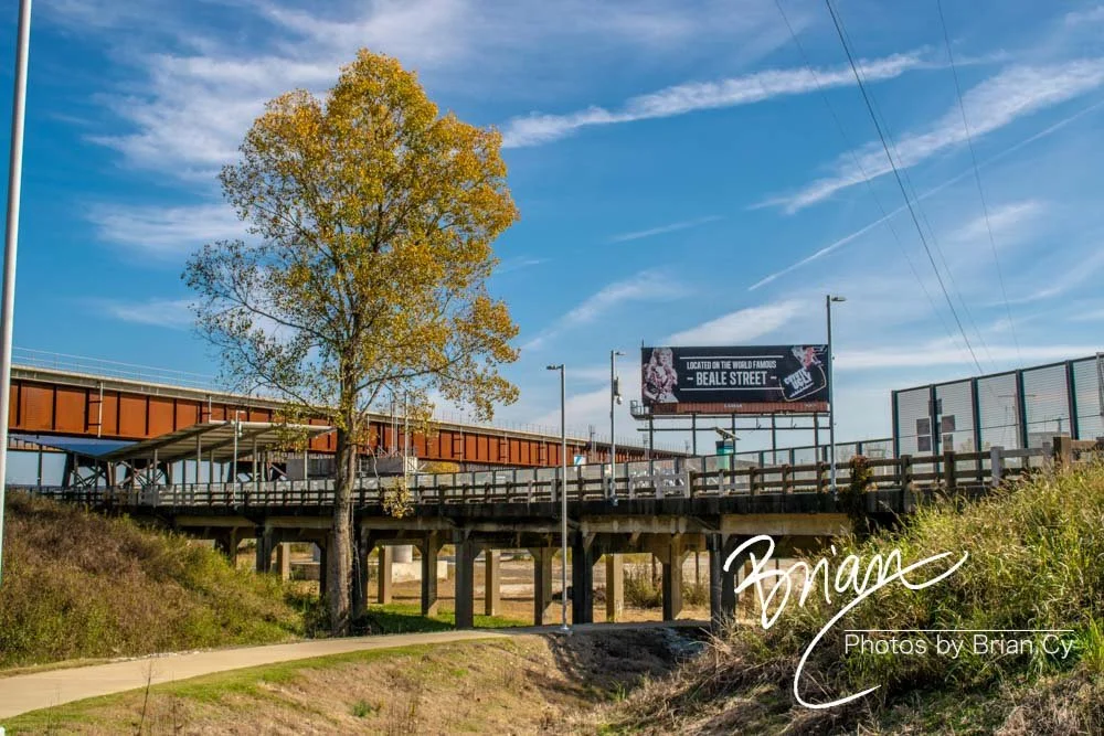 LoRes_WM_20181111_Memphis_Edit-0348.jpg