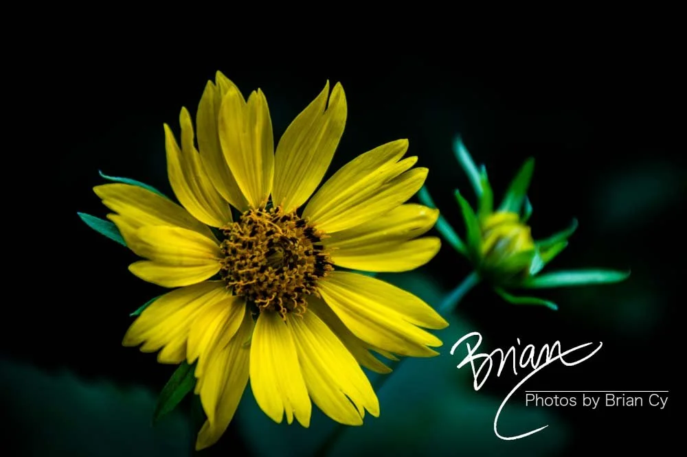 LoRes_WM_20191107_SanAntonio_Edit-1058.jpg