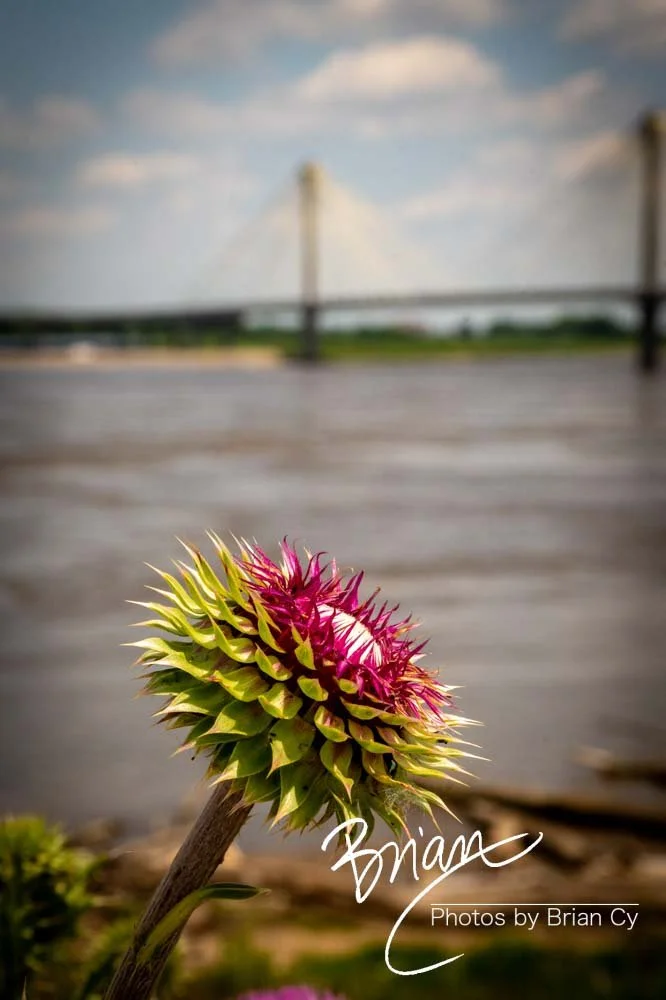 LoRes_WM_20240519_Alton_Edit-7896.jpg