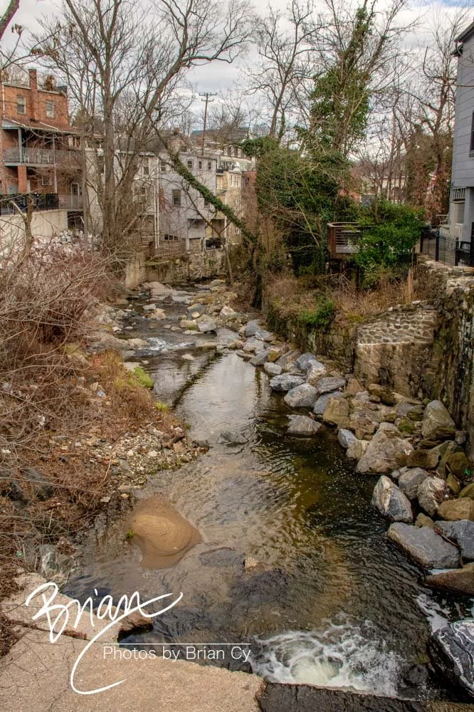 LoRes_WM_20221217_EllicottCity_Edit-8286.jpg