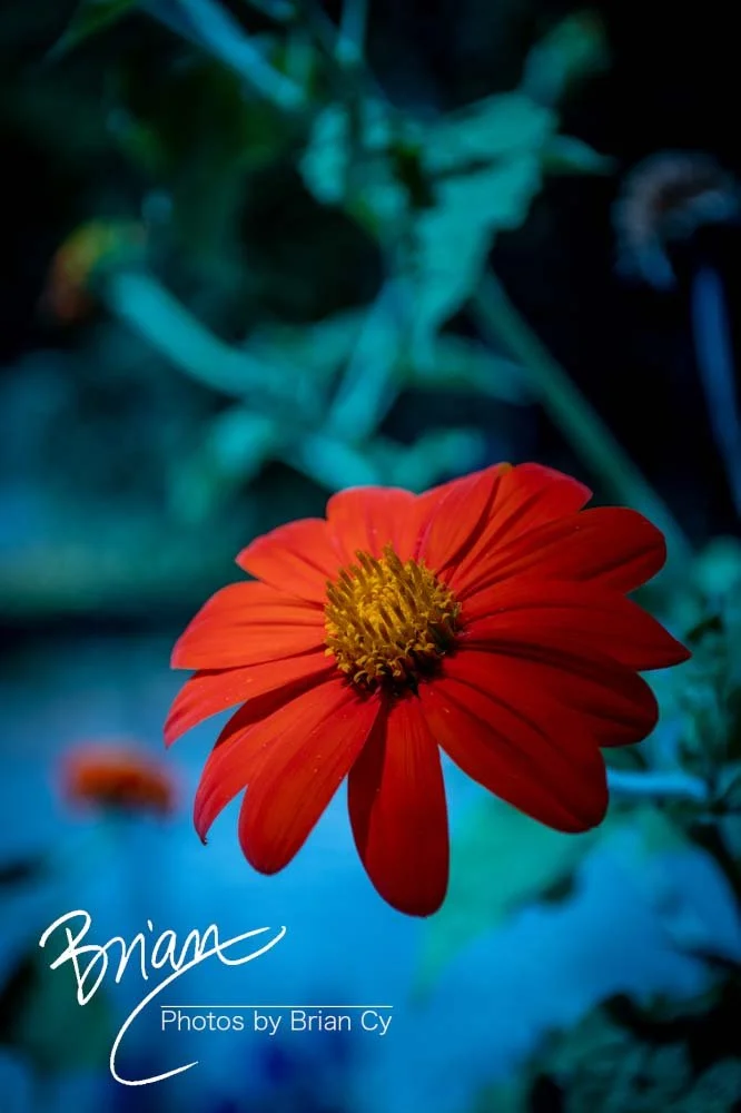 LoRes_WM_20190921_Atlanta_Edit-8991.jpg