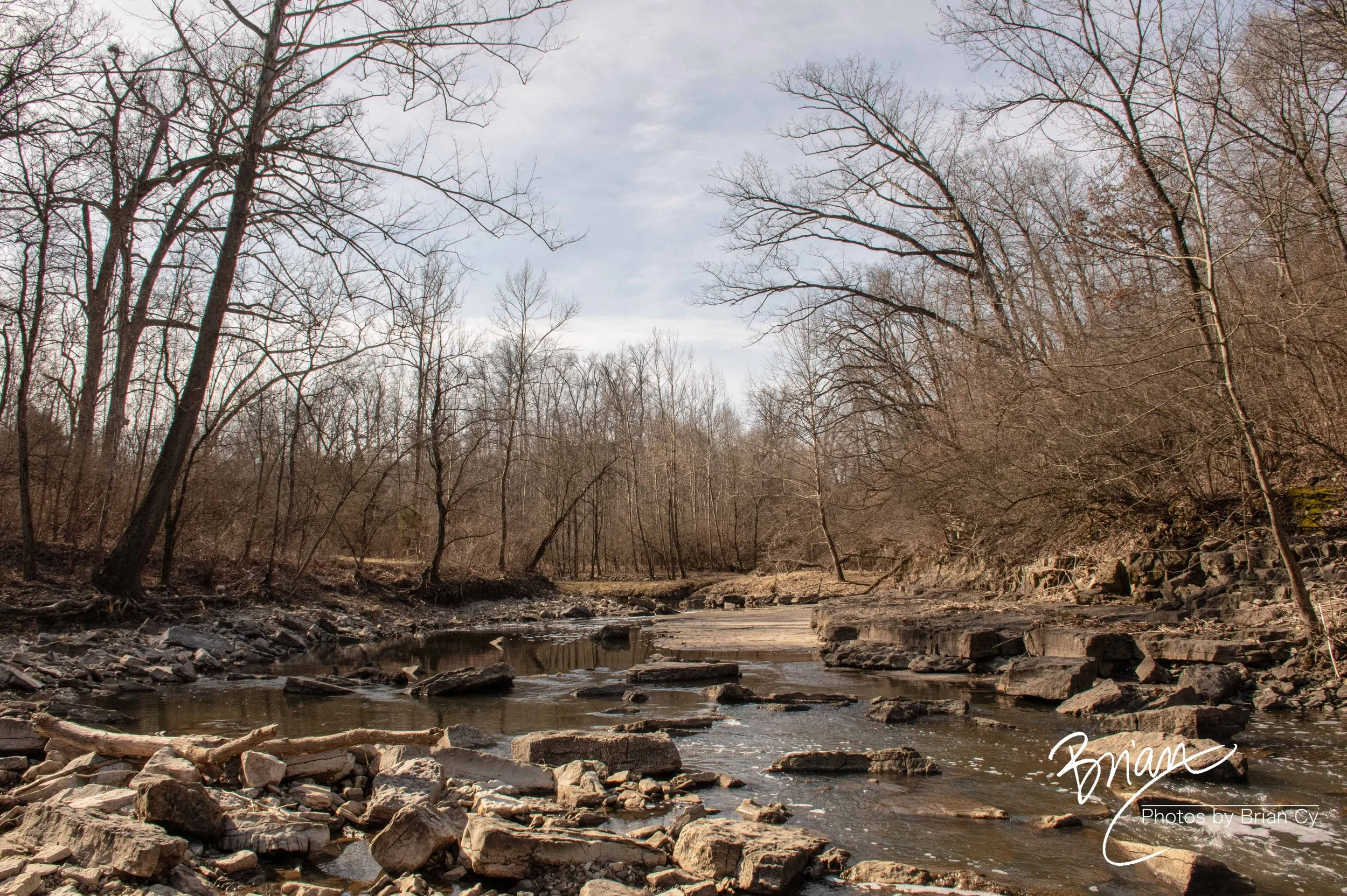 LoRes_WM_20250308_StLouis_Edit-0377.jpg