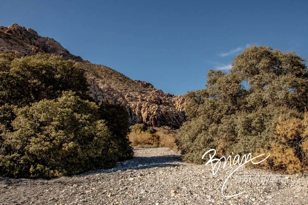 LoRes_WM_20191113_RedRockCanyon_Edit-9225.jpg