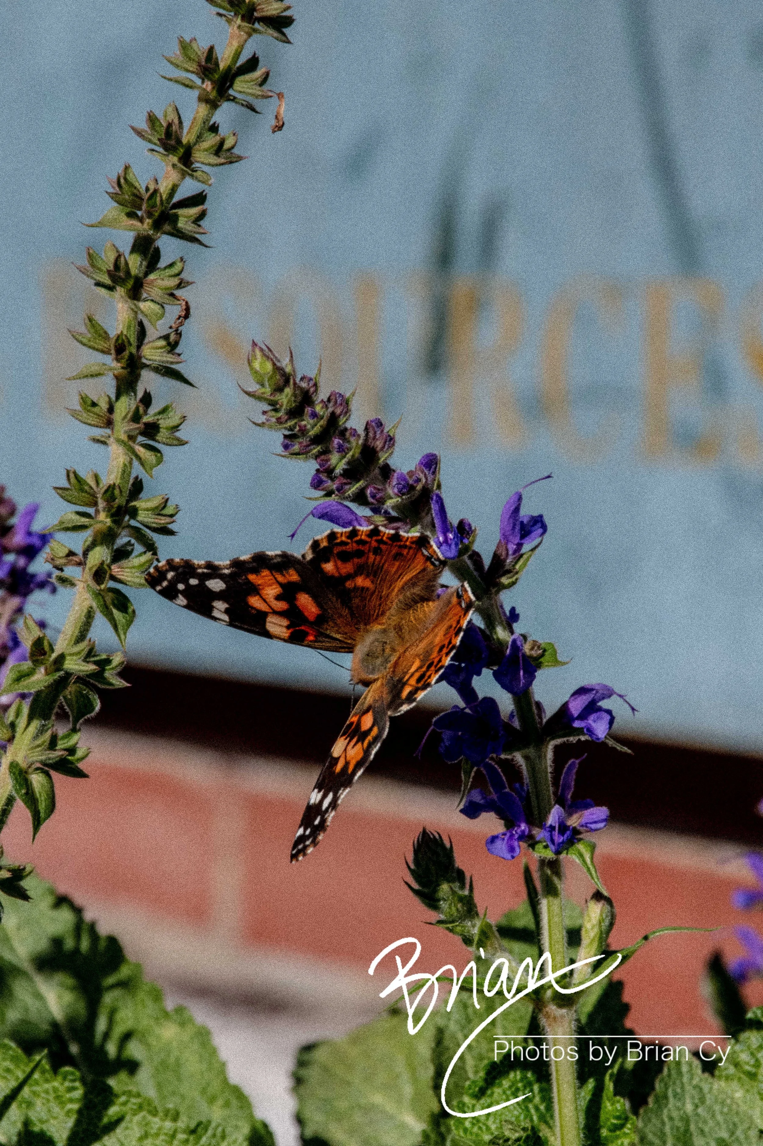 LoRes_WM_20231105_JeffersonCity_Edit-6366.jpg