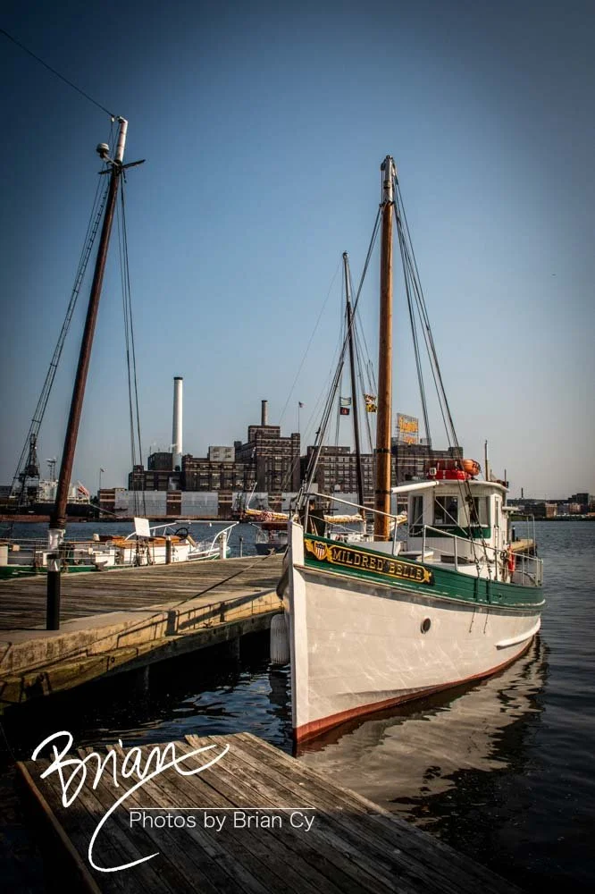 LoRes_WM_20210825_Baltimore_Edit-3999.jpg