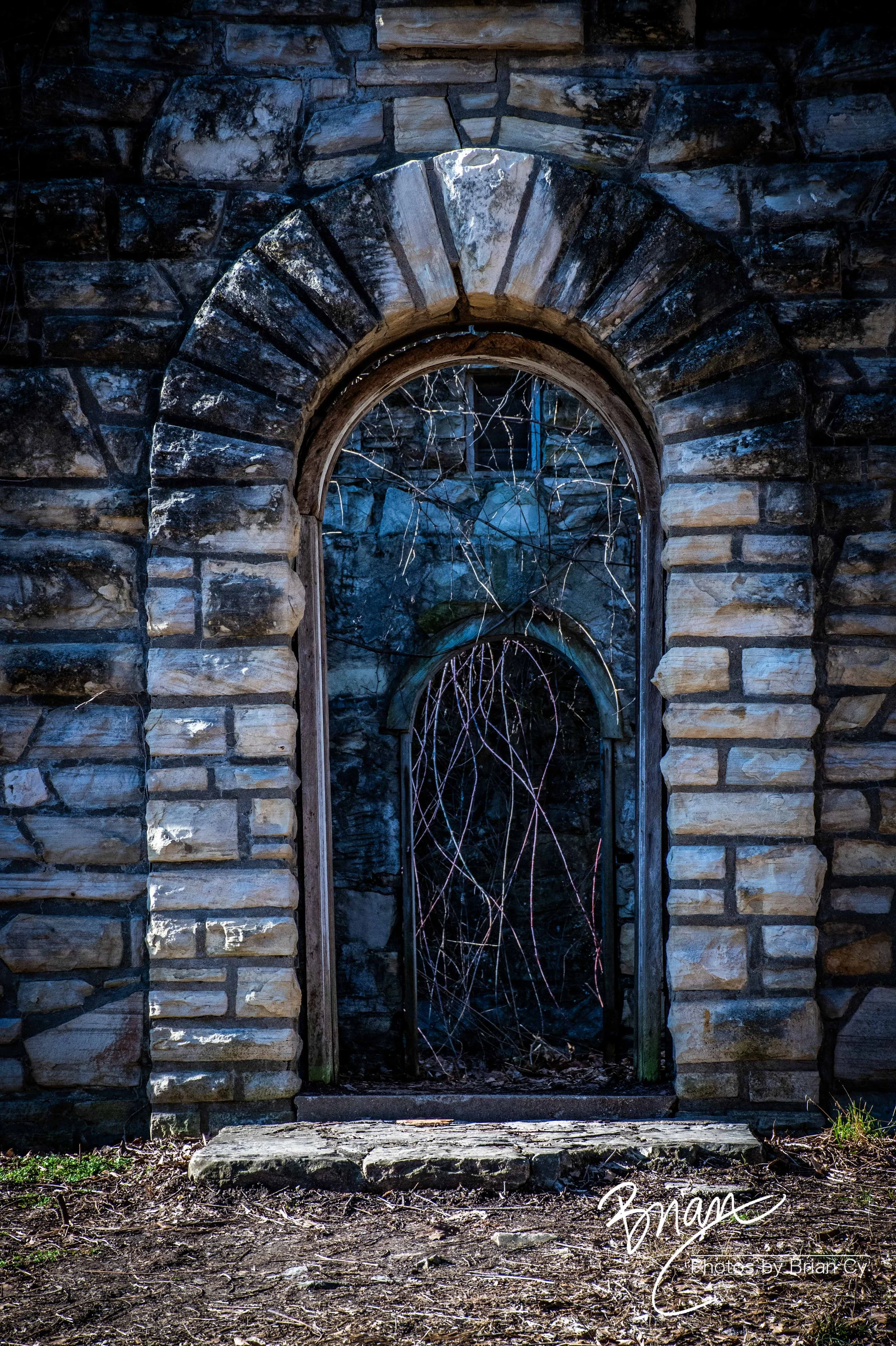 LoRes_WM_20250308_StLouis_Edit-0244.jpg