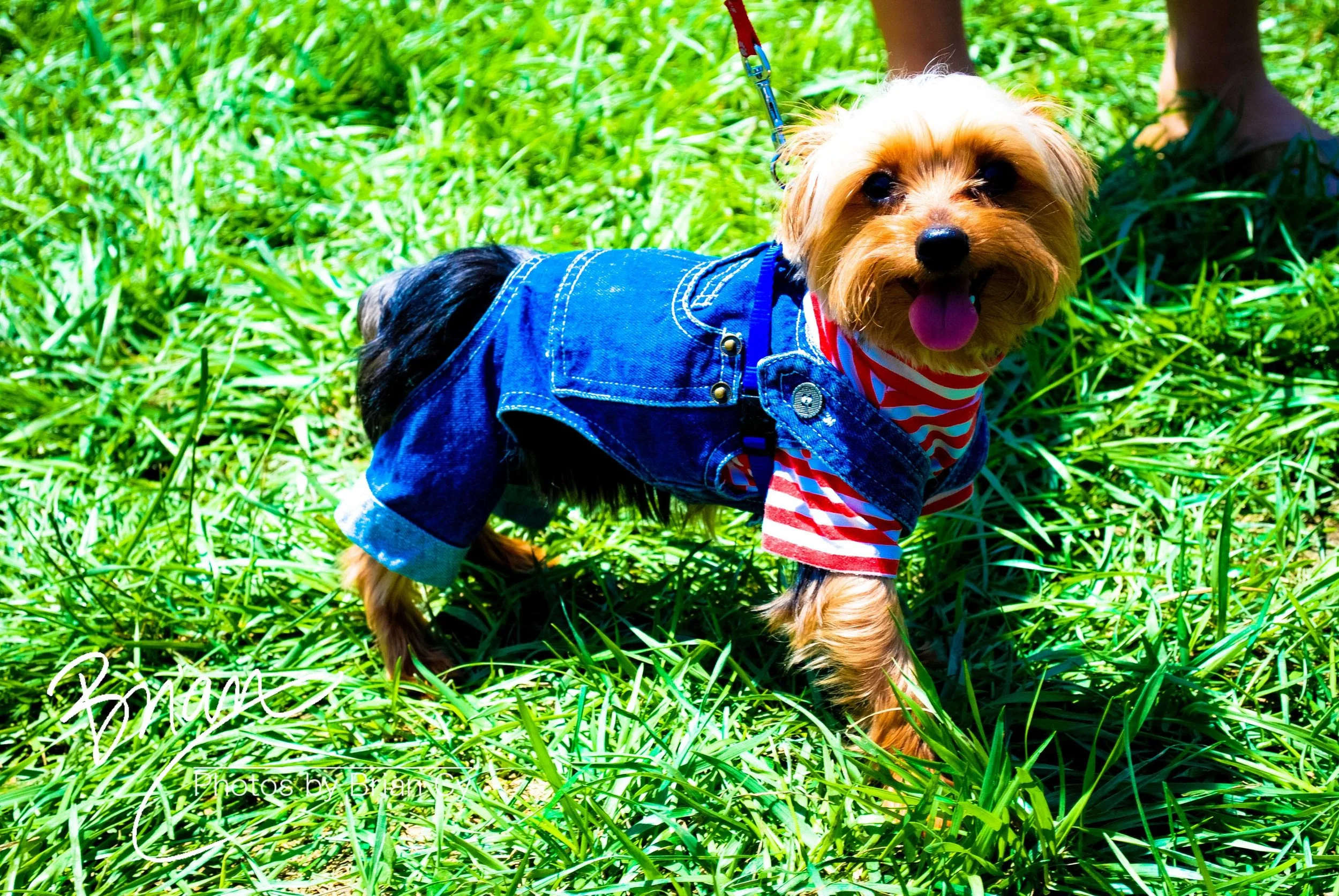 LoRes_WM_20090530_Triad_Pride_Edit-0017.jpg