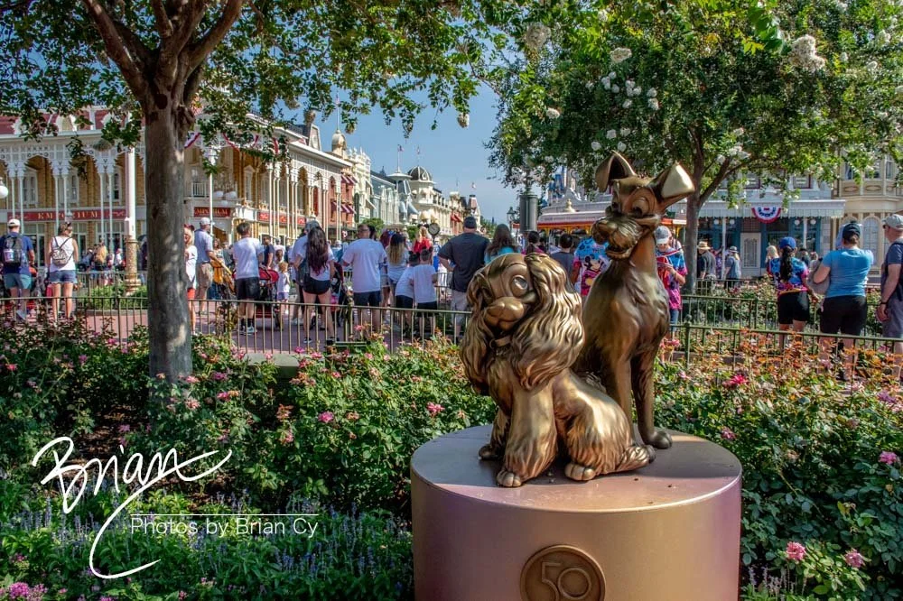 LoRes_WM_20230704_TheFam_Disney_Edit-6612.jpg