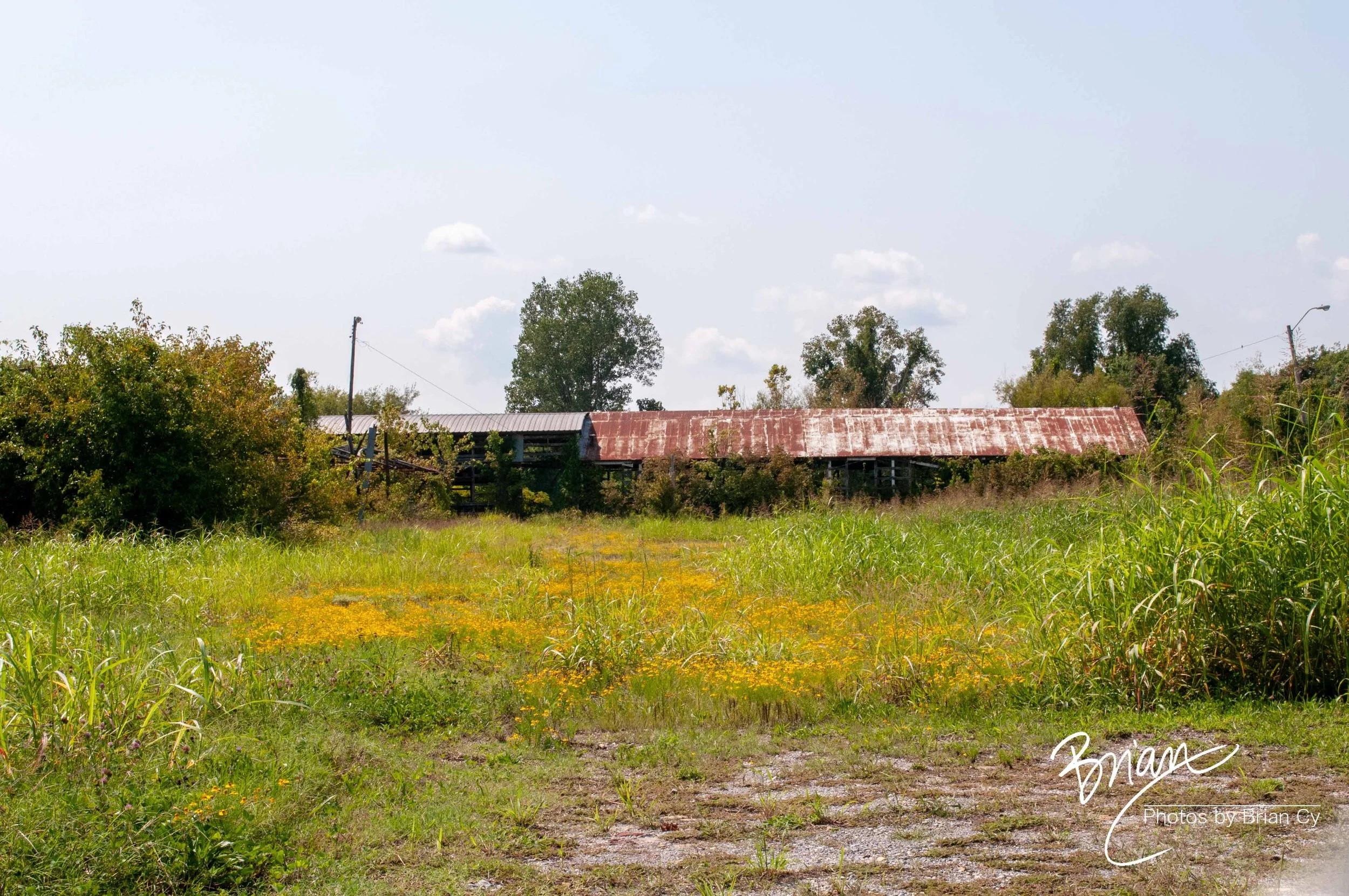 LoRes_WM_20170903_Memphis_Edit-1964.jpg