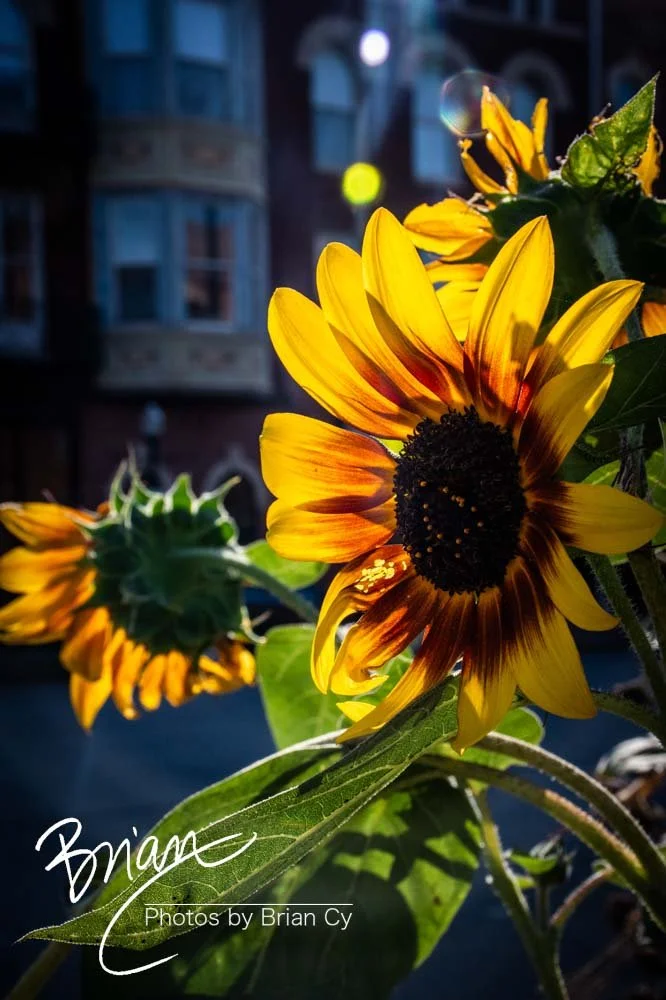 LoRes_WM_20241011_Davenport_Edit-7512.jpg