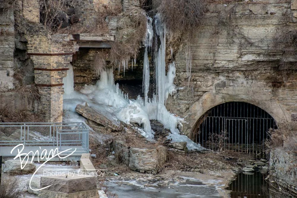 LoRes_WM_20190111_Minneapolis_Edit-0799.jpg