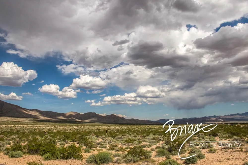 LoRes_WM_20190425_Goodsprings_Edit-1110.jpg
