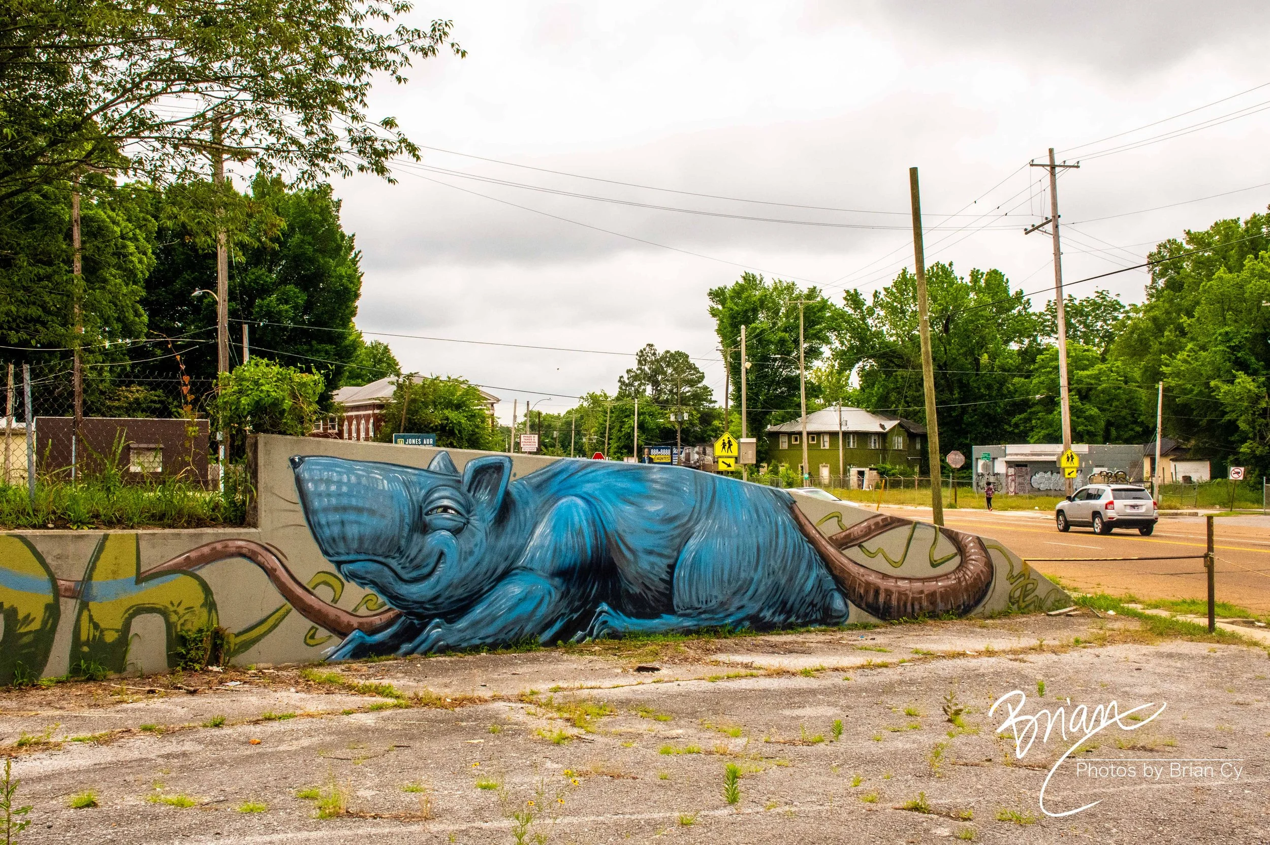 LoRes_WM_20260525_Memphis_Edit-0983.jpg