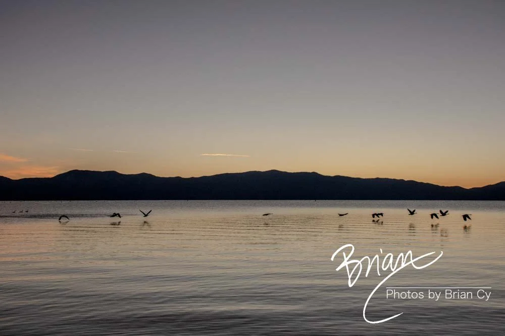 LoRes_WM_20201014_Tahoe_Edit-9244.jpg