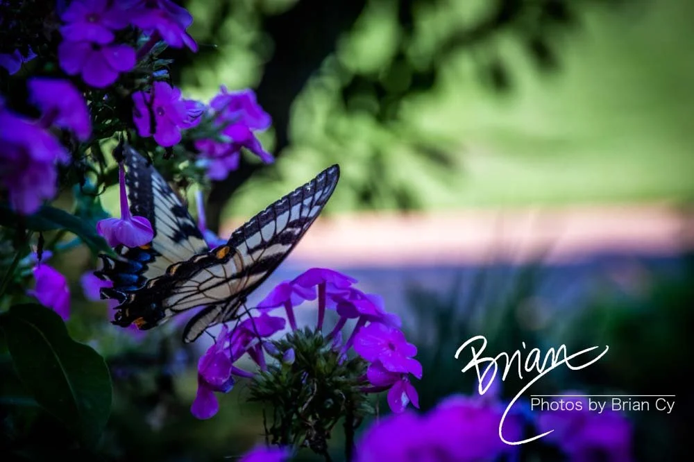 LoRes_WM_20190817_Atlanta_Edit-7371.jpg