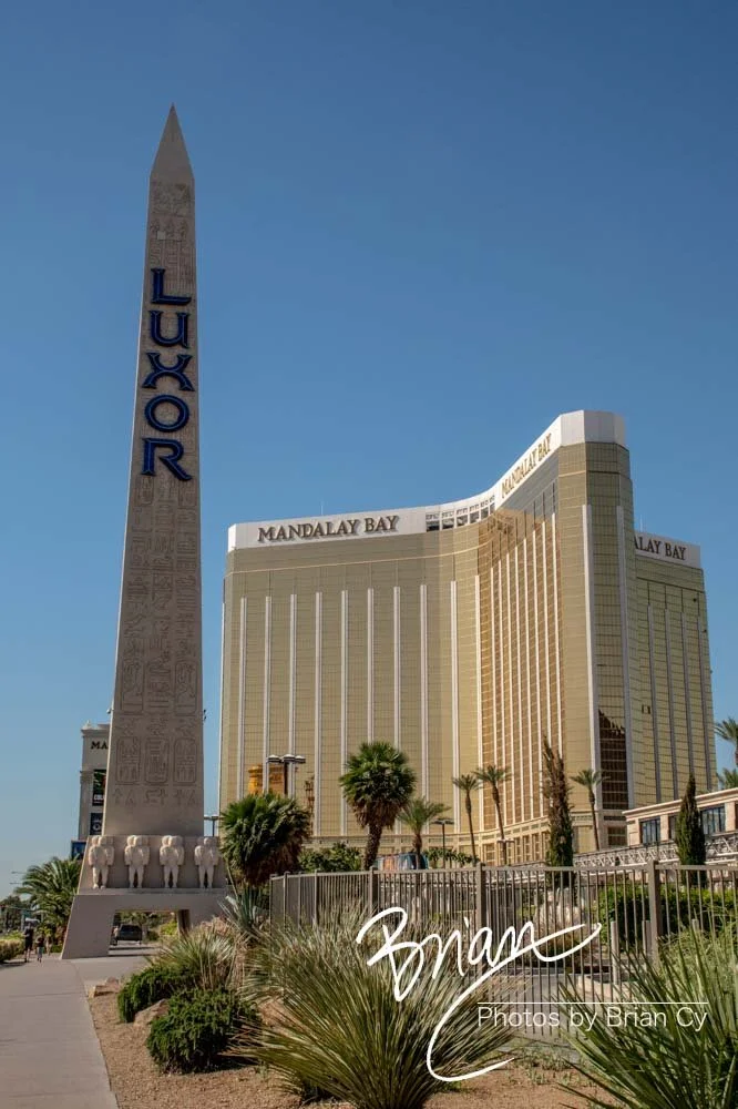 LoRes_WM_20190426_LasVegas_Edit-1690.jpg