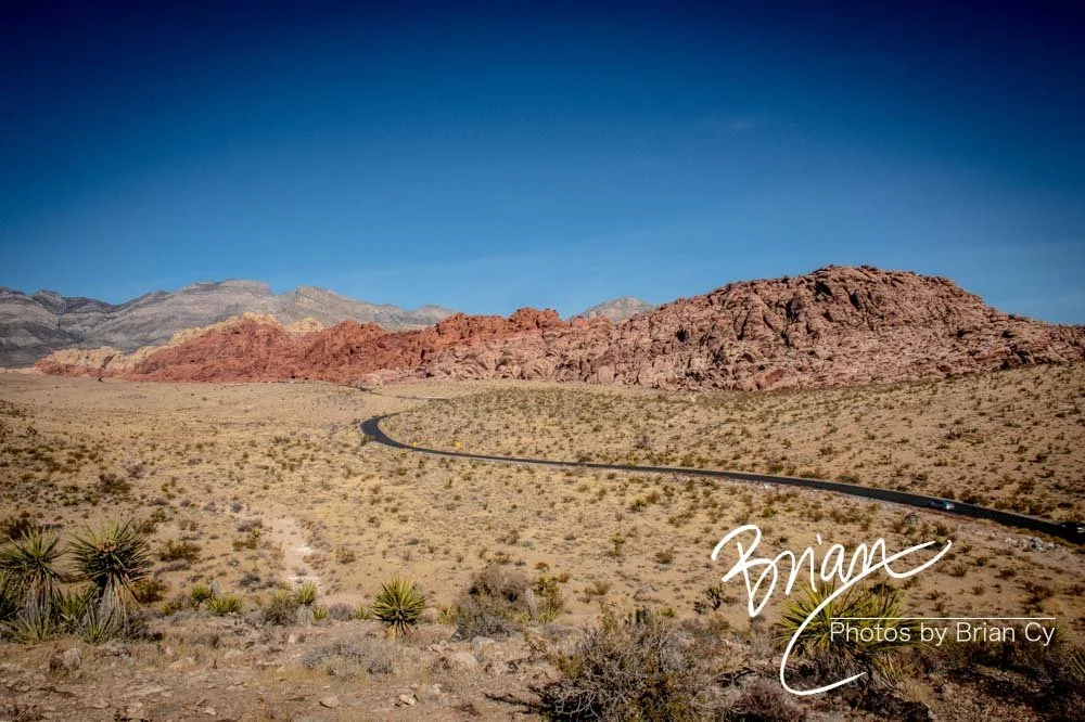 LoRes_WM_20191113_RedRockCanyon_Edit-8354.jpg