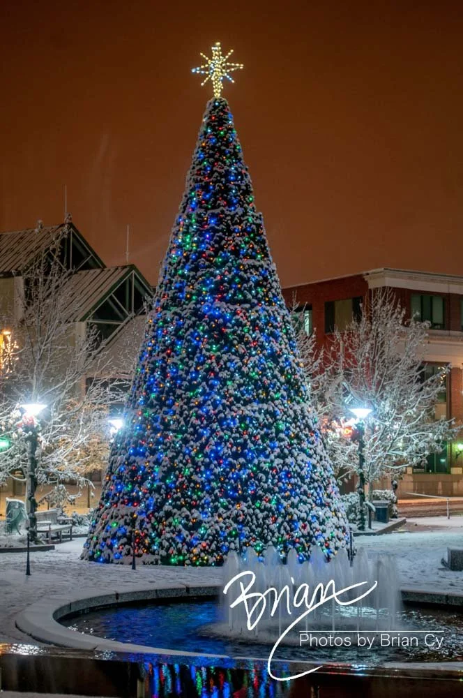 LoRes_WM_20101225_Greensboro_Edit-9366.jpg