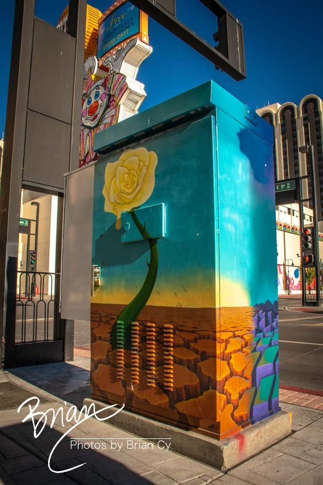 LoRes_WM_20200617_Reno_Edit-5076.jpg