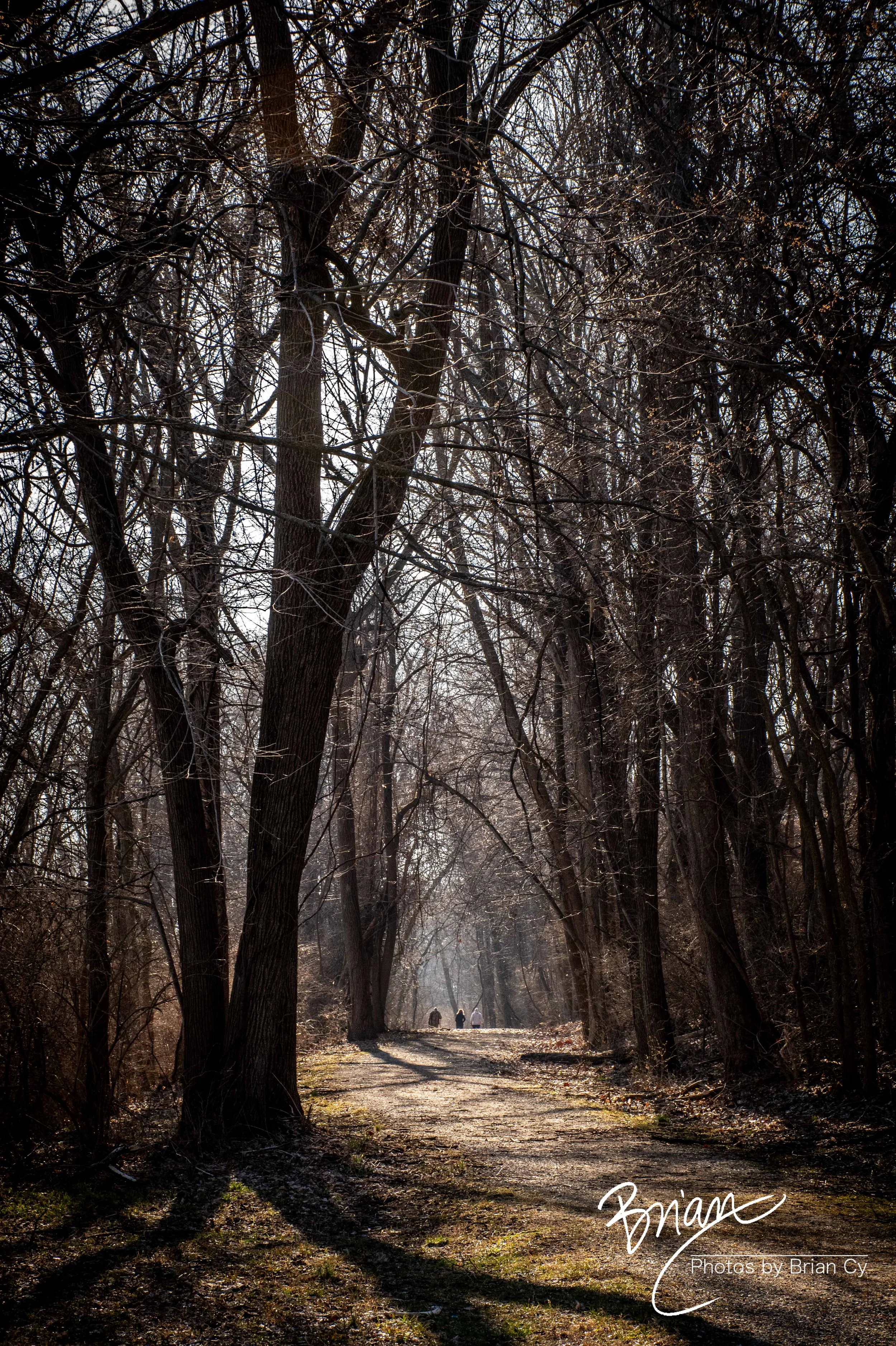 LoRes_WM_20250308_StLouis_Edit-0194.jpg