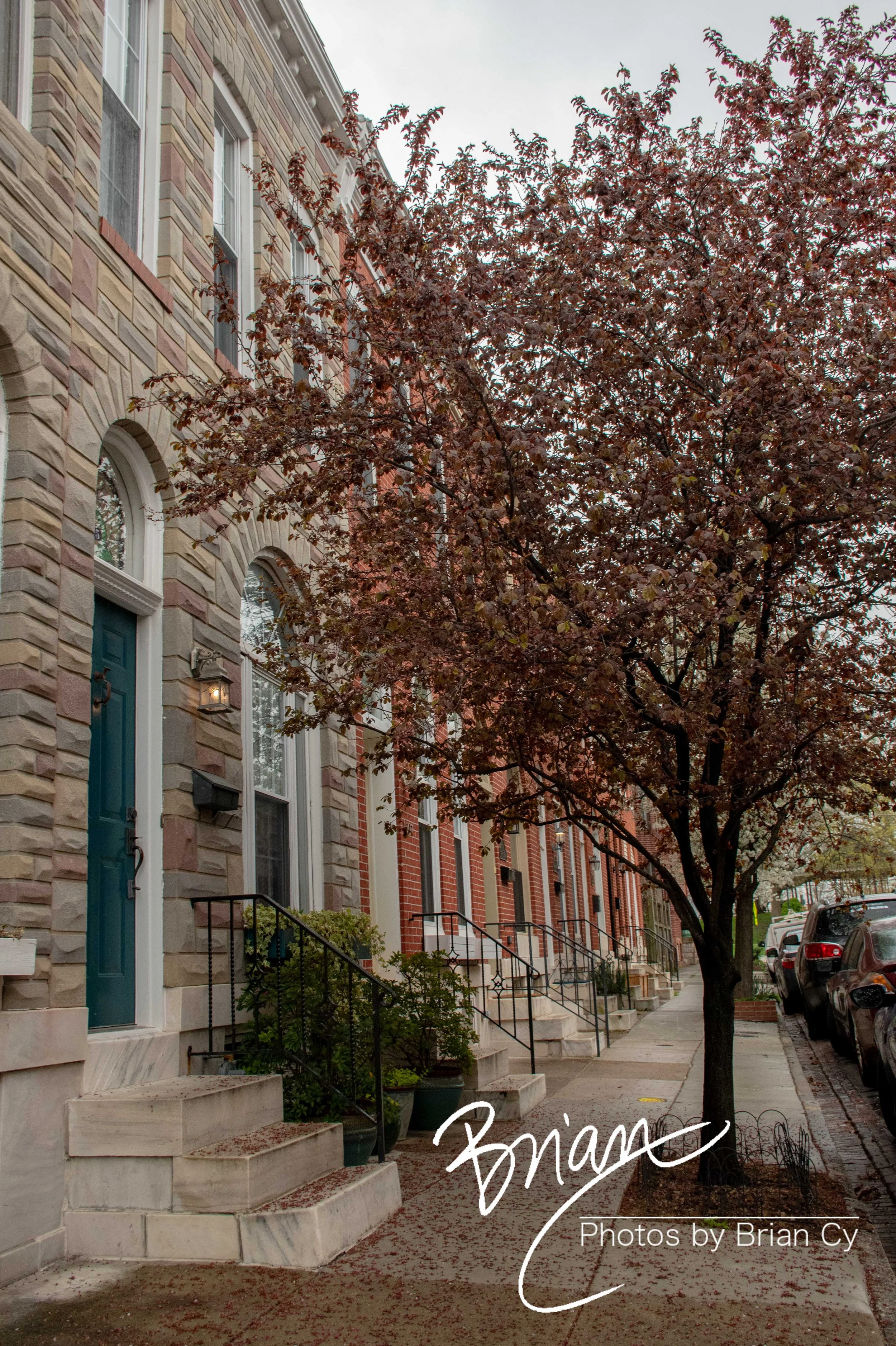 LoRes_WM_20210409_Baltimore_Edit-6783.jpg