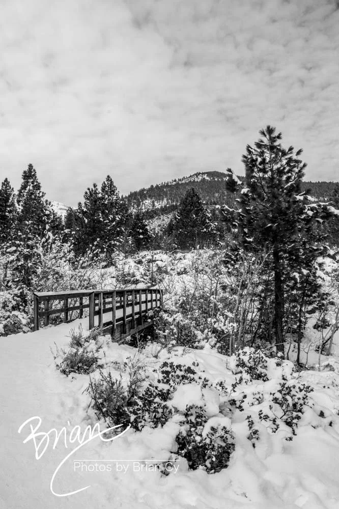 LoRes_WM_20191228_Galena_Edit-0119.jpg