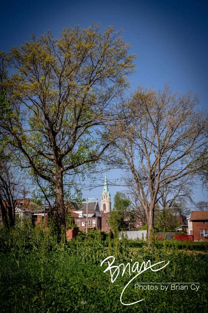 LoRes_WM_20240414_StLouis_Edit-4708.jpg